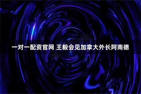 一对一配资官网 王毅会见加拿大外长阿南德