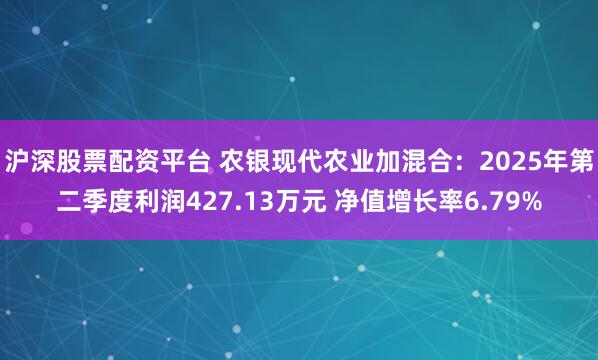 沪深股票配资平台 农银现代农业加混合：2025年第二季度利润427.13万元 净值增长率6.79%