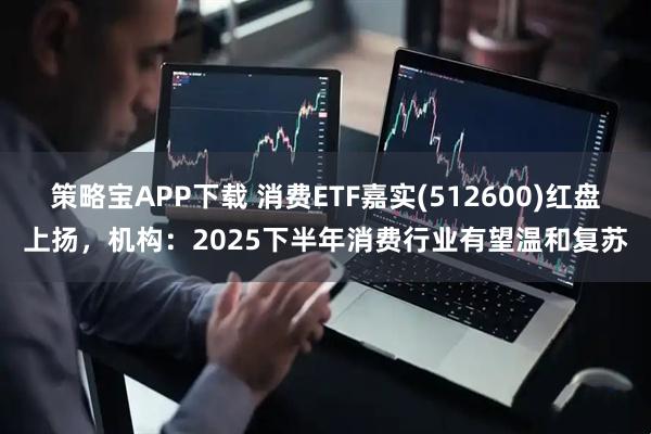 策略宝APP下载 消费ETF嘉实(512600)红盘上扬，机构：2025下半年消费行业有望温和复苏
