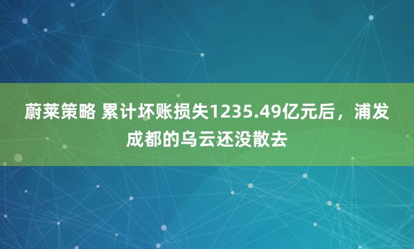 蔚莱策略 累计坏账损失1235.49亿元后，浦发成都的乌云还没散去
