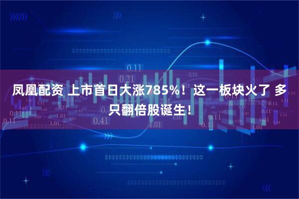 凤凰配资 上市首日大涨785%！这一板块火了 多只翻倍股诞生！